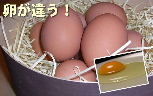 卵が違う!